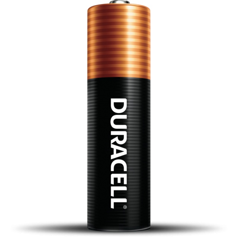 Duracell Coppertop AA Alkaline Batteries