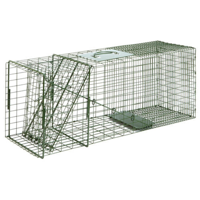Duke Pecan # 3-1 Cage Trap|32 x 10 x 12