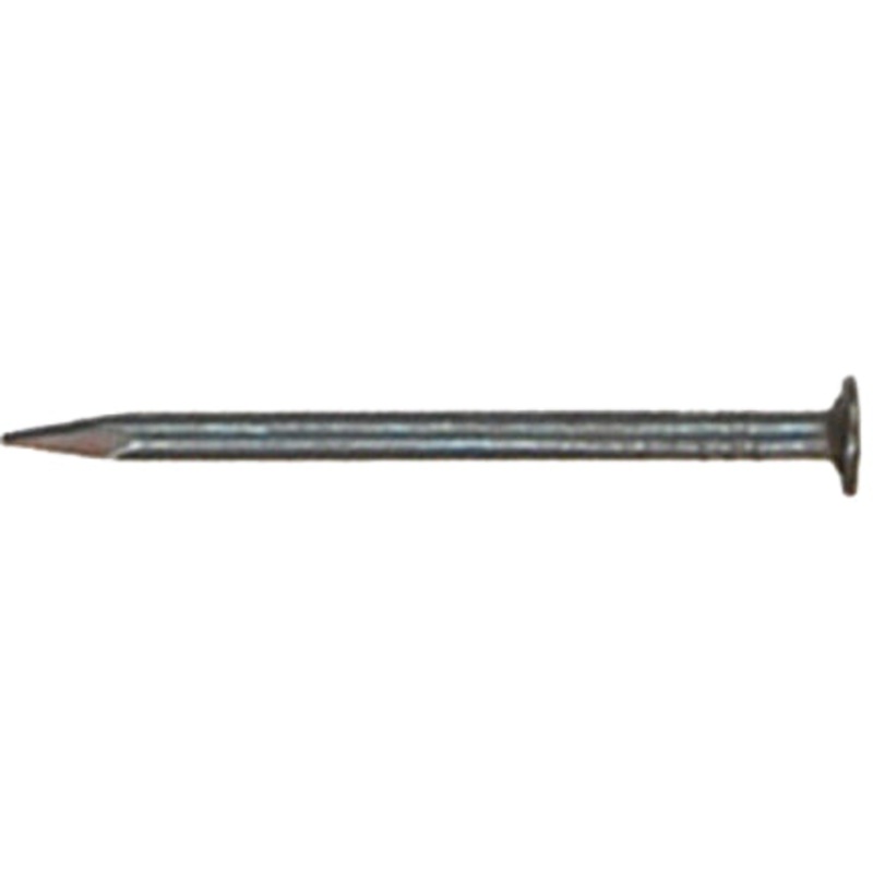 NAIL 1 EG ROOF 1 LB