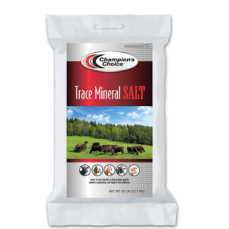 Trace Mineral Salt|50 lb Block