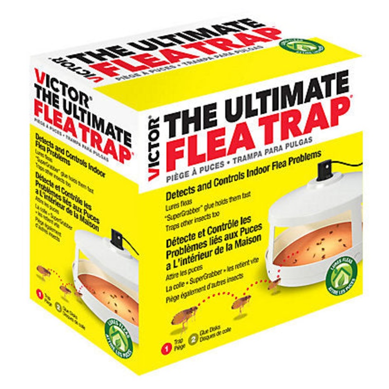 Victor The Ultimate Flea Trap