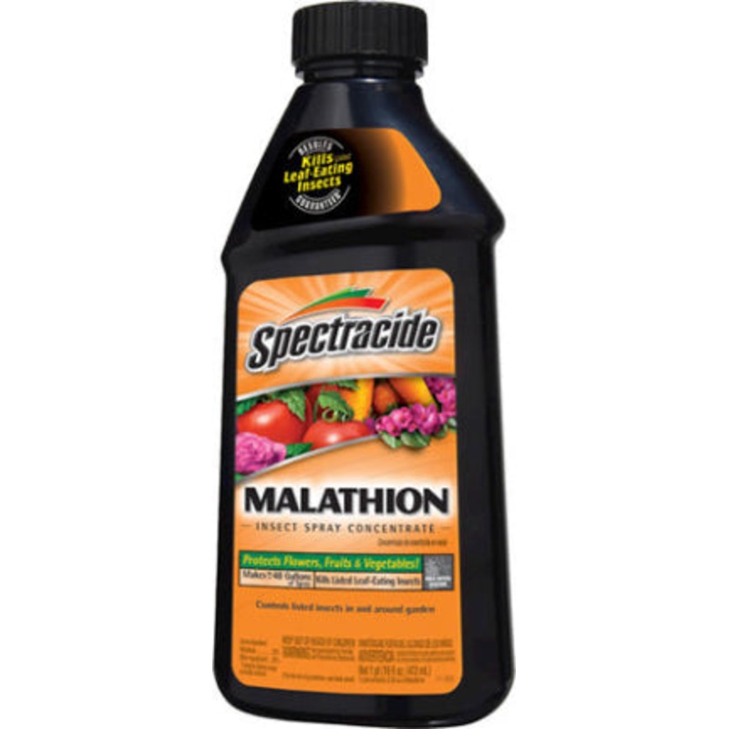MALATHION INSECT  SPRAY CONCENTRATE 16OZ