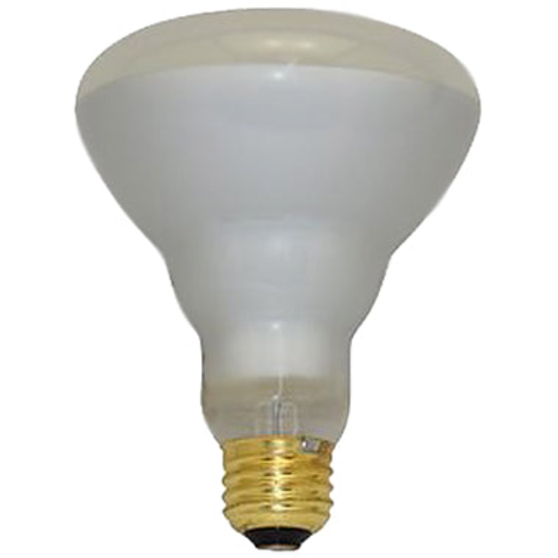 65BR30FL 48 INDOOR 65W FLOOD LIGHT