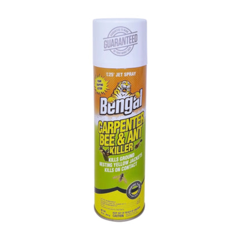 Bengal Carpenter Bee & Ant Killer
