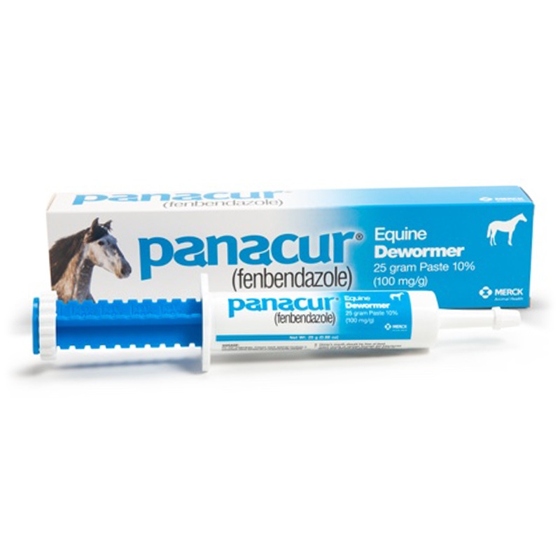 Merck Panacur (fenbendazole) Paste