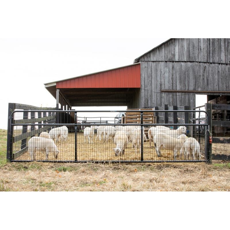 Tarter Watchman Wire Mesh Gate 2 in x 4 in x 8 ft.