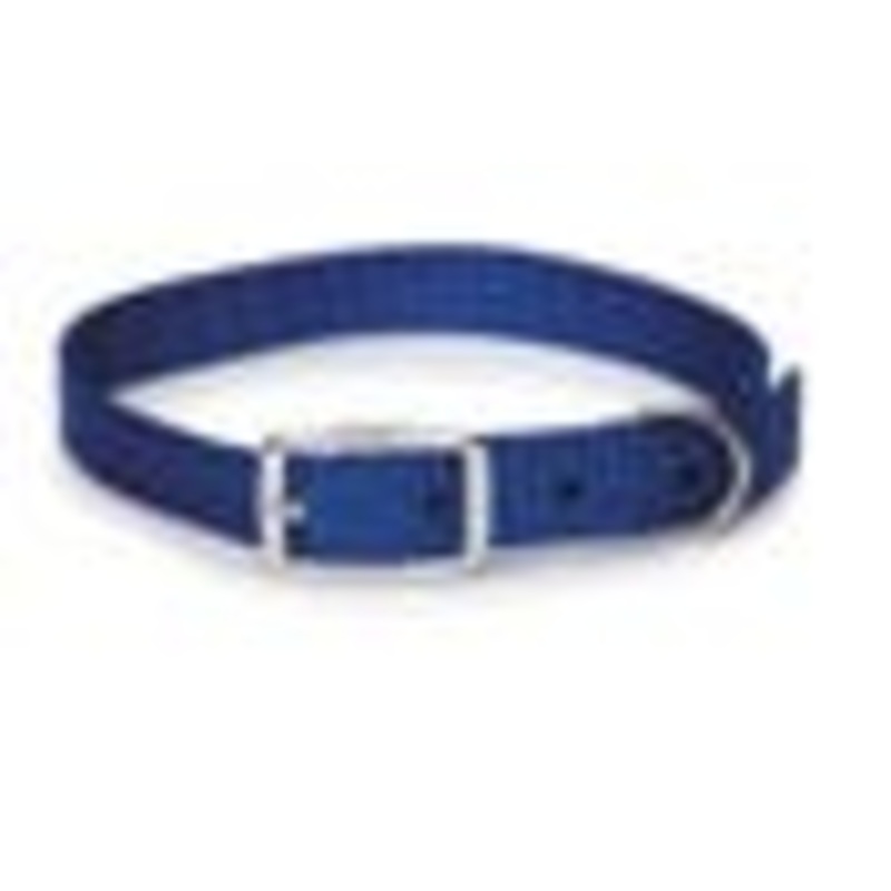 Boss Pet Digger’s 3/4in x 18 in. Nylon Collar Blue