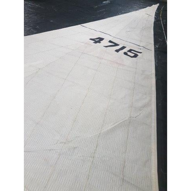 Genoa #GIR-010