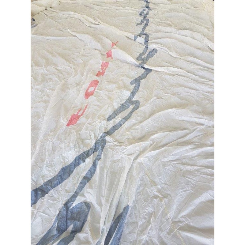 Asymmetrical Spinnaker #FRE-002