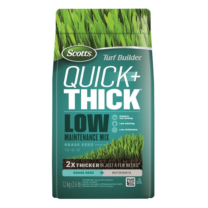 12507-1 SEED GRASS LOW MAINT