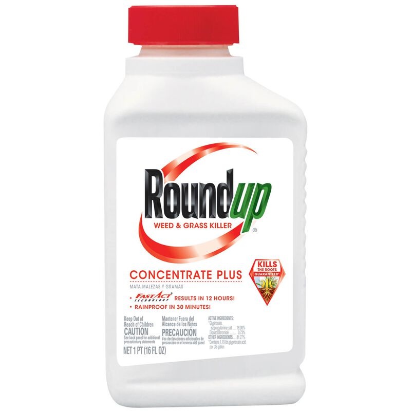 Roundup Weed & Grass Killer Concentrate