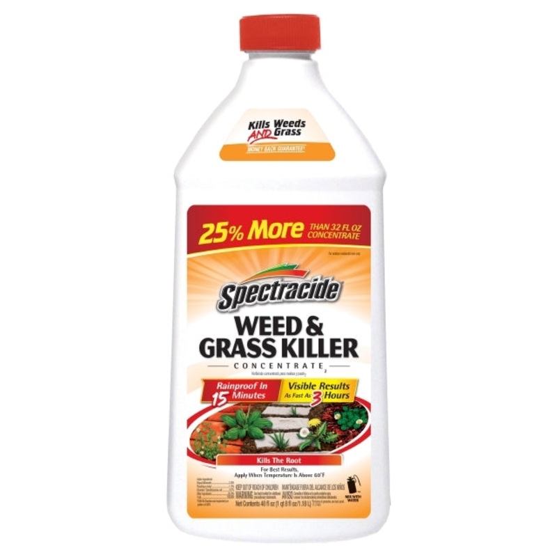 SPECTRACIDE WEED & GRASS KILLER CONCENTRATE2 (16-oz)