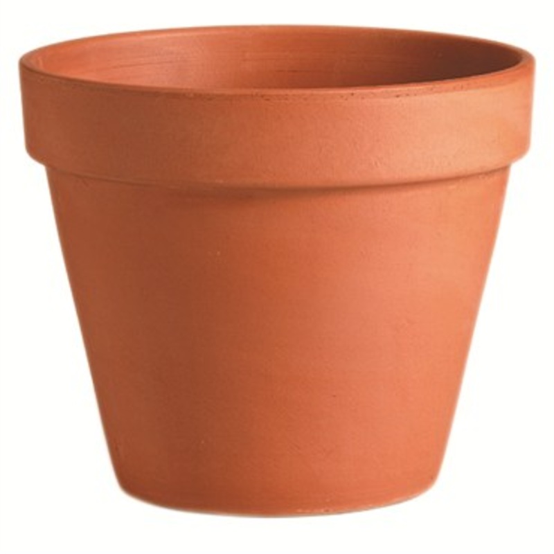 Deroma Standard Clay Terra Cotta Pot